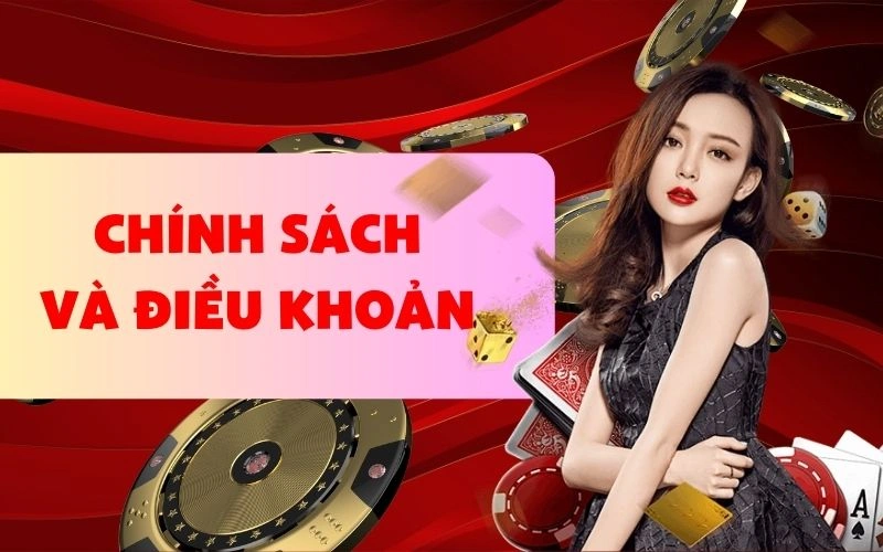 Chính sách và điều khoản MAX88