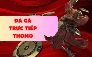 da ga truc tiep thomo