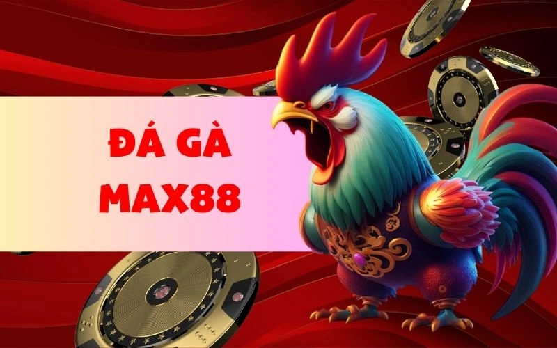 Đá gà MAX88 thông tin tổng quan