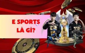 E Sports là gì mà newbie cần biết