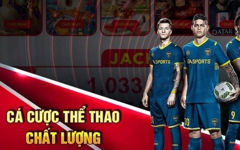 Cá cược thể thao theo Odds