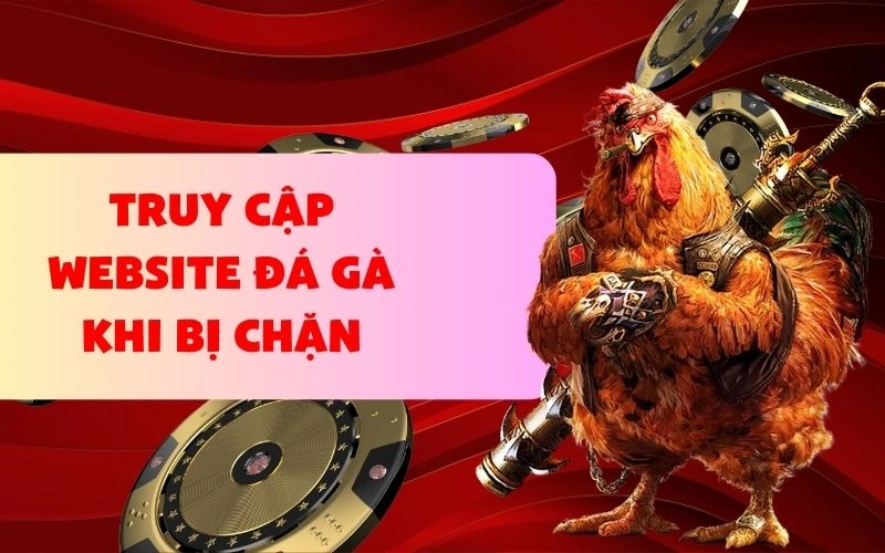 Tìm hiểu nguyên nhân truy cập website đá gà khi bị chặn